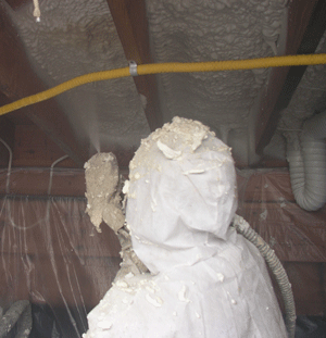 Pierre SD crawl space insulation